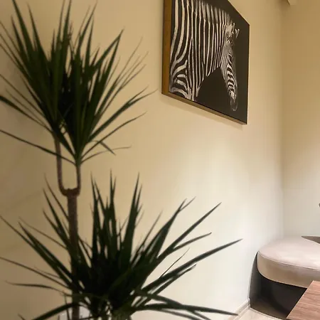 Milas House 2 * Tirana