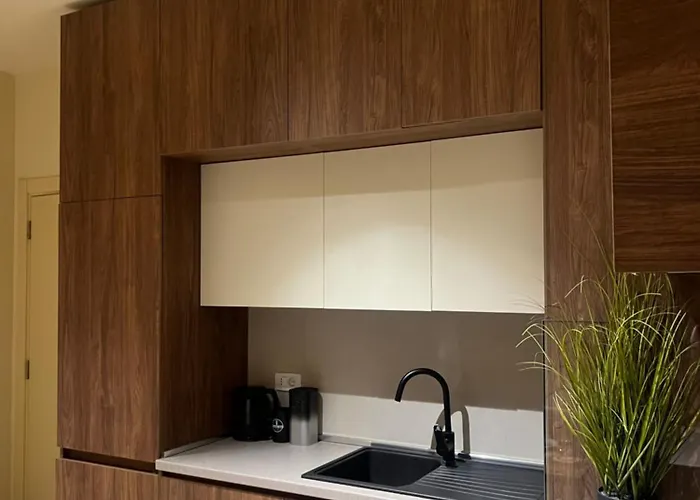 Milas House 2 Tirana